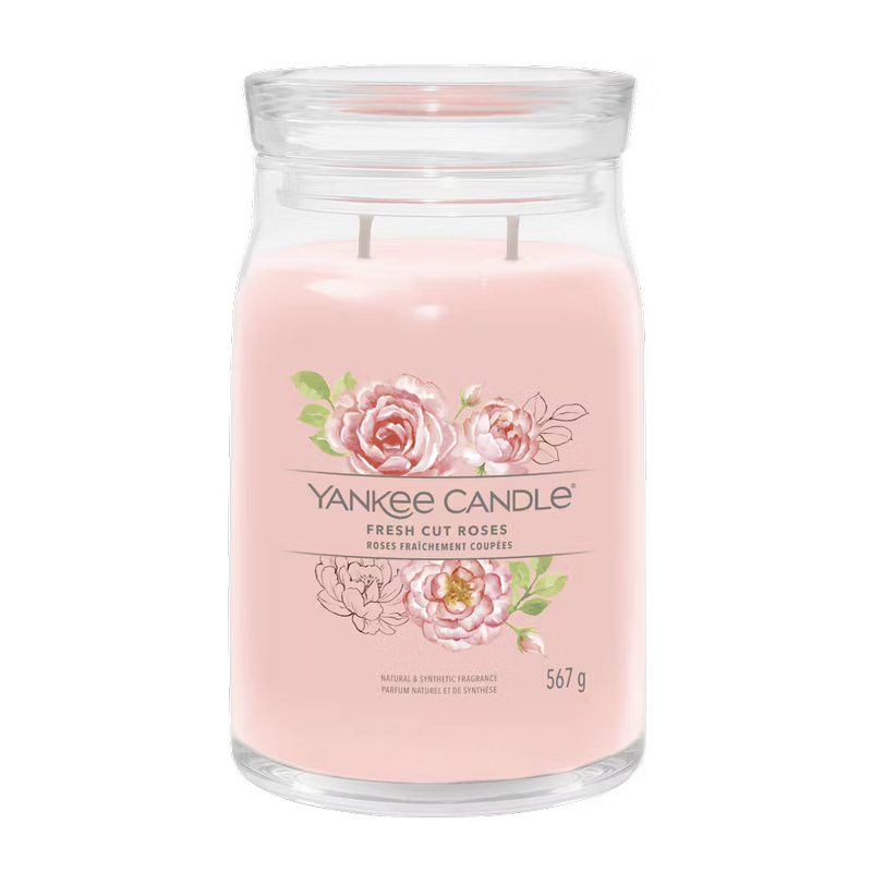 Roses fraîchement coupées Roses fraîchement coupées