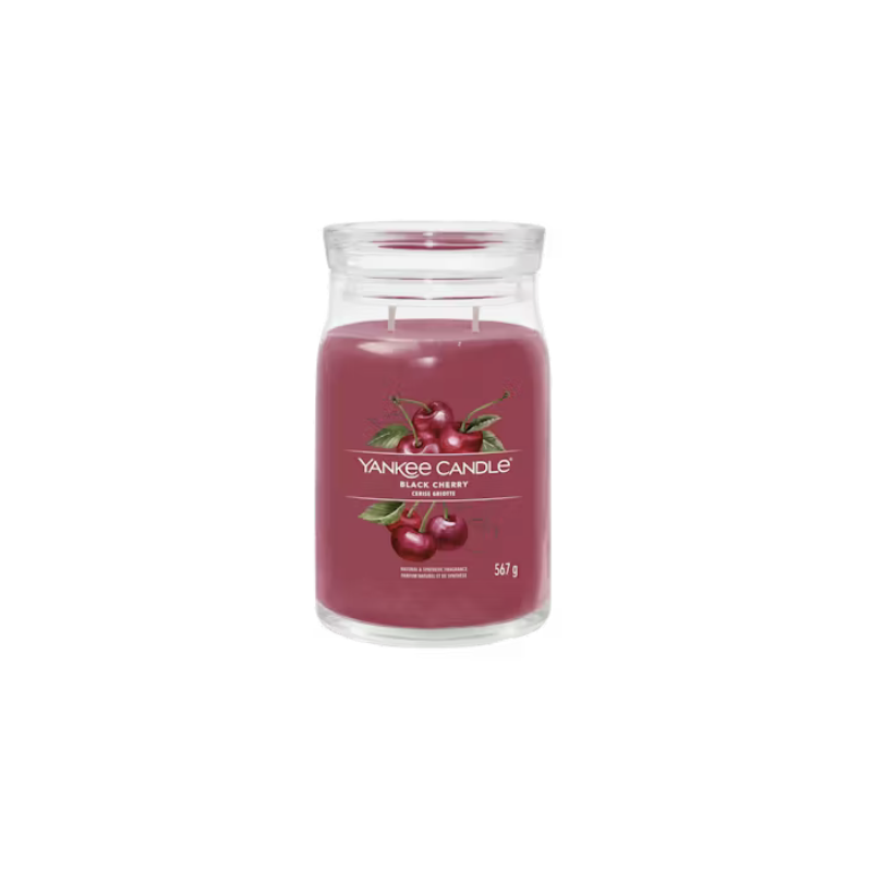 Cerise griotte Cerise griotte