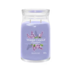 Fleurs de lilas
