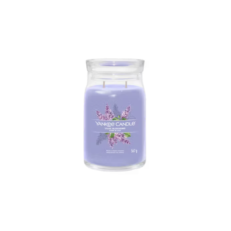 Fleurs de lilas