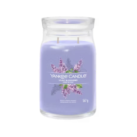 Fleurs de lilas